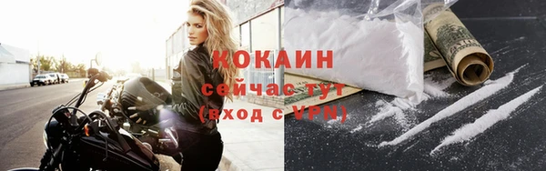 прущие крисы Няндома