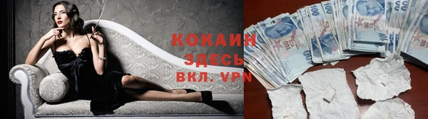 прущие крисы Няндома