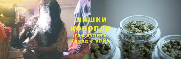прущие грибы Нягань