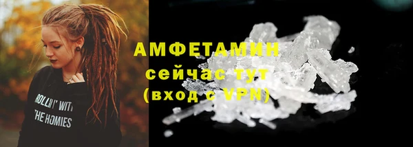 прущие грибы Нягань