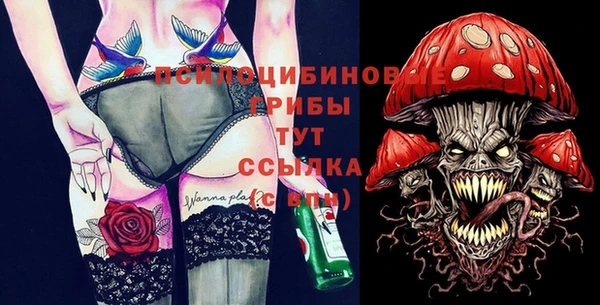 прущие грибы Нягань