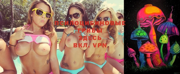 прущие грибы Нягань