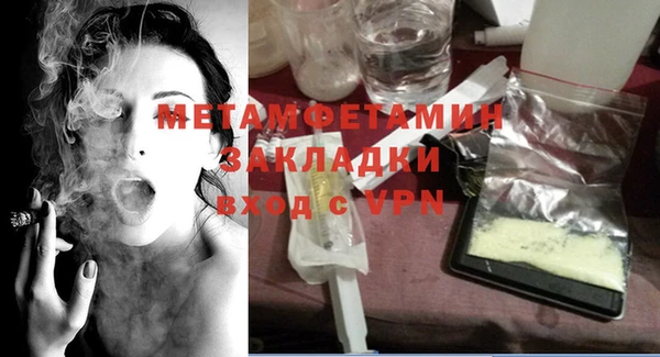 прущие грибы Нягань