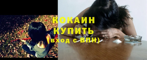 прущие крисы Няндома