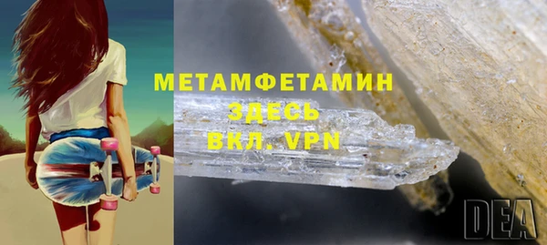 прущие грибы Нягань