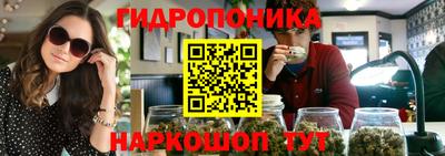 гидропоника Севастополь