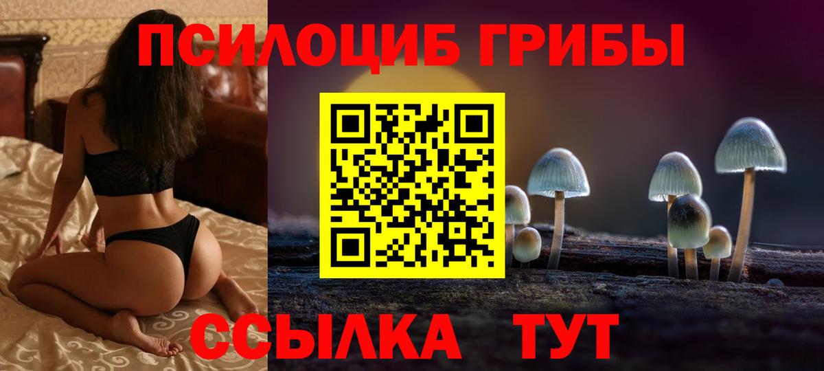 Галлюциногенные грибы мицелий Топки