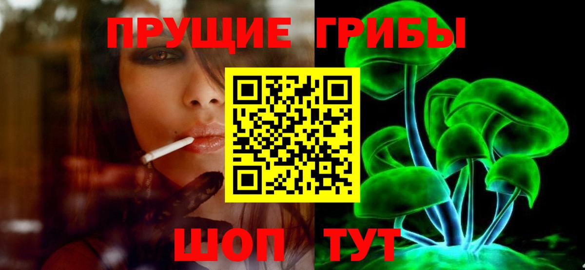 Псилоцибиновые грибы Psilocybe  Вход с VPN  Топки 